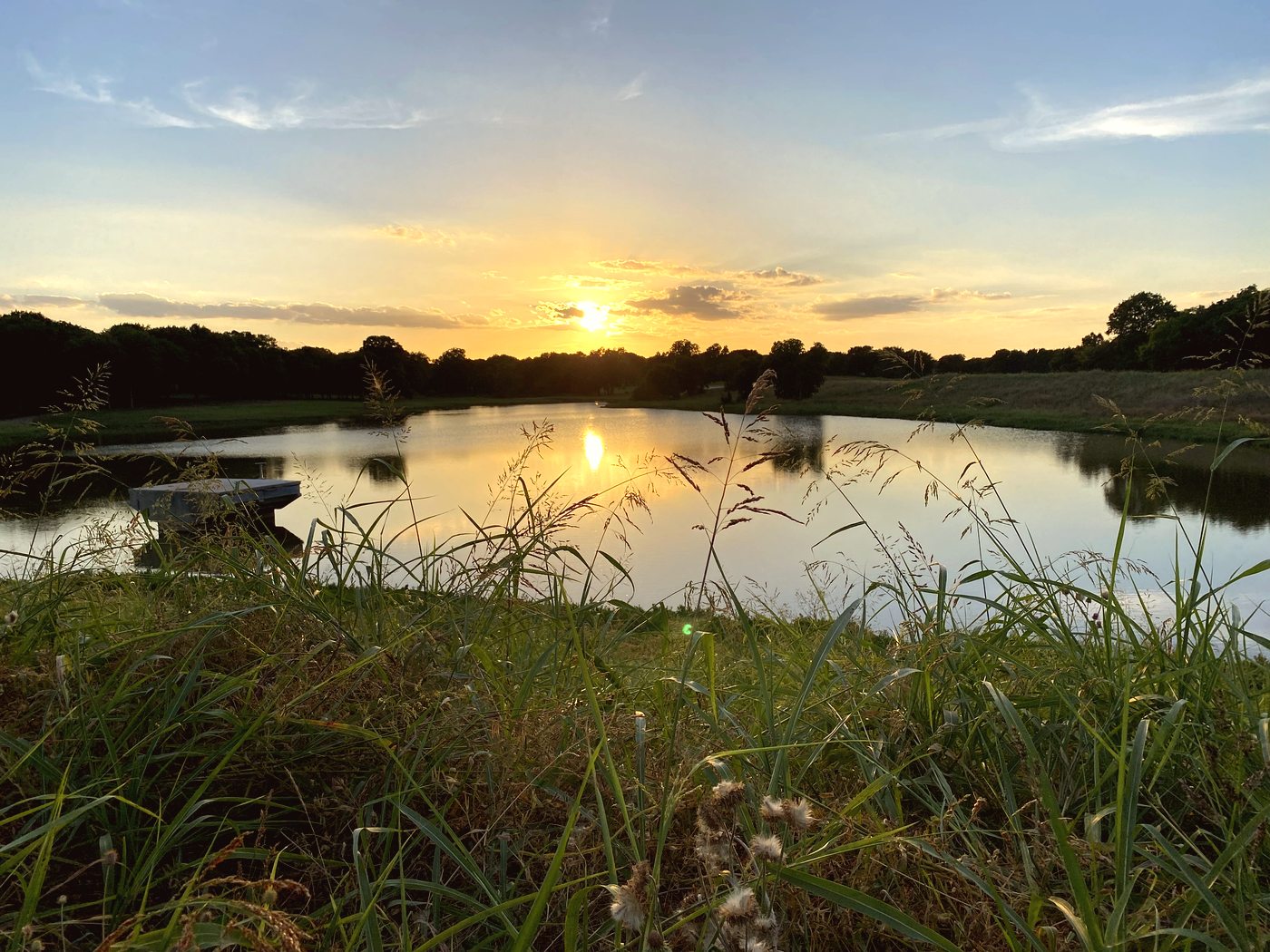 Wildflowers and sunset pond in McKinney