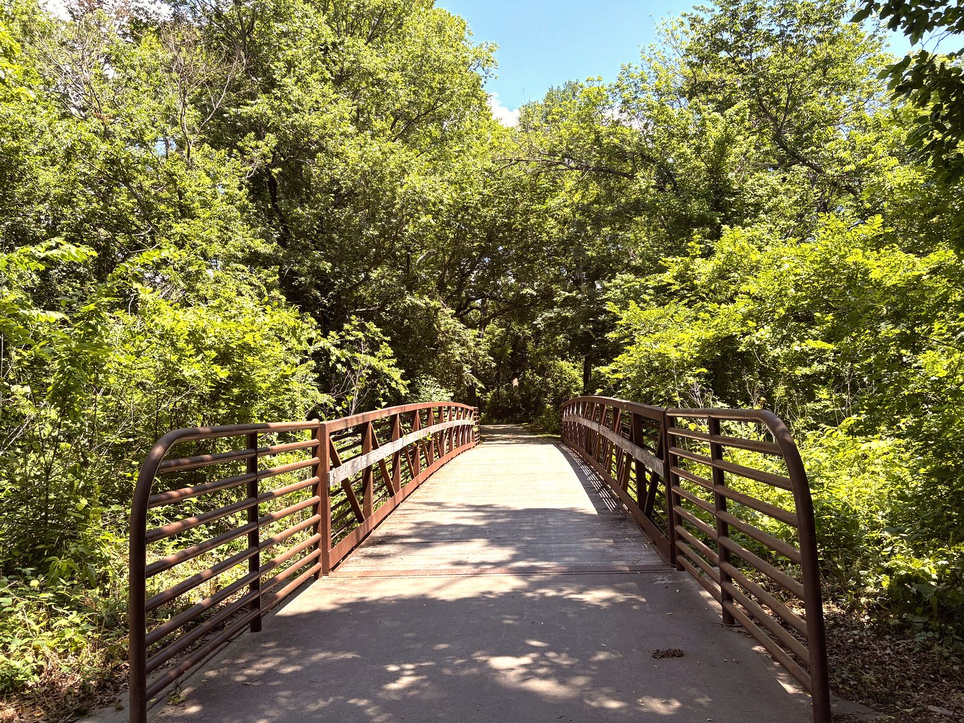 Curved golden hour path in McKinney park